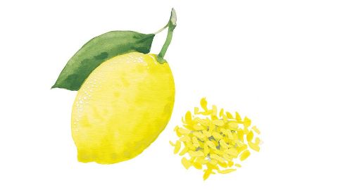 Fruktextrakt av citron