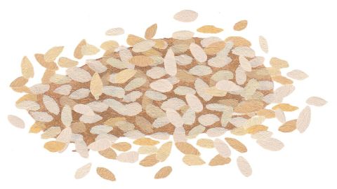 Sezamų sėklų aliejus