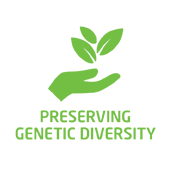 Preserving Genetic Diversity icon - Weleda Australia