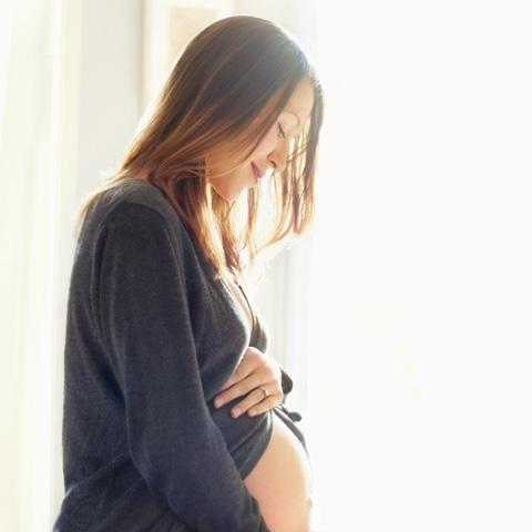 Pregnancy Care Keyvisual - Weleda