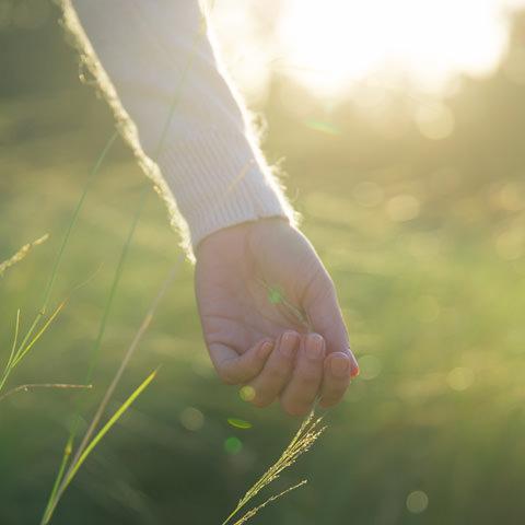 Hand holding grass - in touch with nature