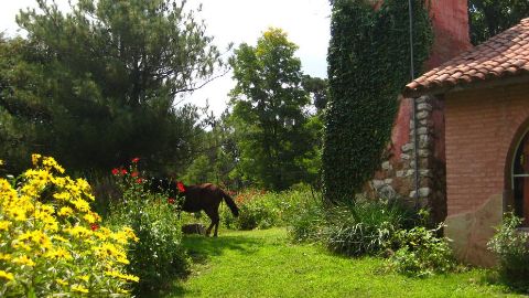 Flower garden with house at Weleda Argentina