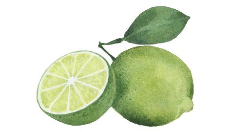 huile de citron vert