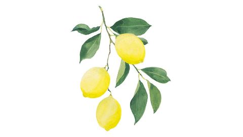 Citronskalsolja