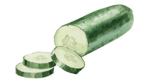 Cucumber Fruit Extract