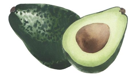 Olio di avocado
