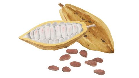 Kakao sēklu sviests
