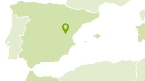 Map of Spain - Rosemary